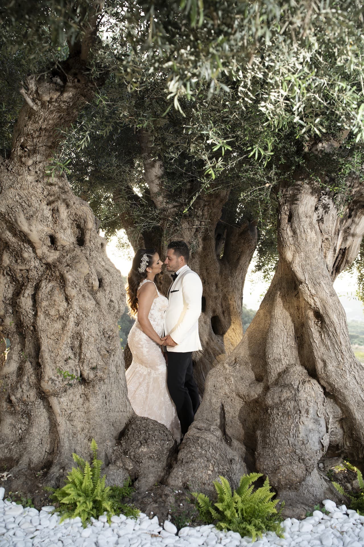 weddings-image